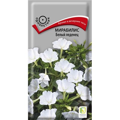 Мирабилис Белый леденец (П)