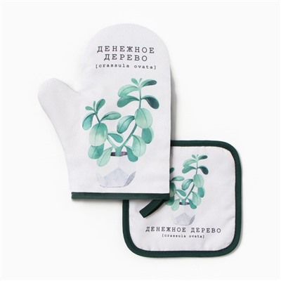 Набор кухонный «Денежное дерево» варежка-прихватка 20×27 см, прихватка 17×17 см 100% п/э