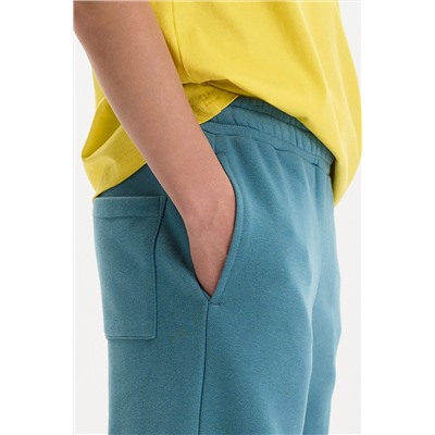 Брюки для мальчиков PELICAN, 1232757