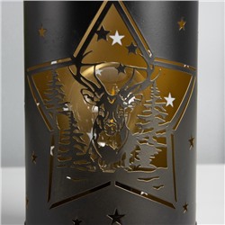 Фигурка светящаяся RISALUX «Ночные звёзды», LED-ночник, 3×ААА, чёрный, 12×12×20.5 см