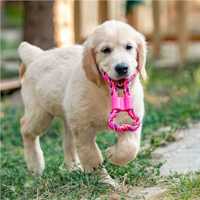 Игрушка витая из резины и каната «Мегакость», 19.5 см, розовая