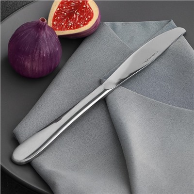 Нож столовый из нержавеющей стали, длина 23 см, цвет серебряный