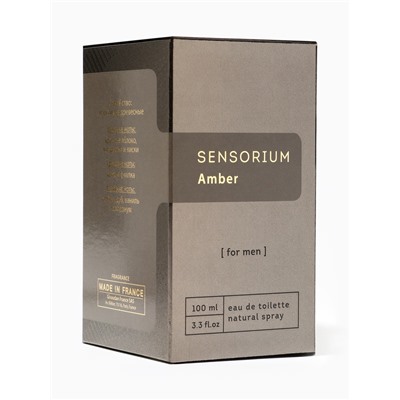 Туалетная вода мужская Sensorium Amber, 100 мл