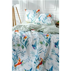 КПБ PAVLine Колибри бязь вид 1