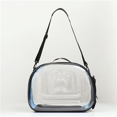 Переноска для животных, 42×32×28 см, прозрачная, голубая