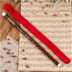 Флейта Music Life 56 см, тональность C