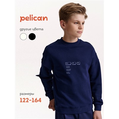 PELICAN Толстовка BFN7040U