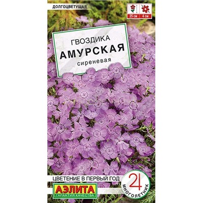Гвоздика Амурская сиреневая Мн (Аэлита)