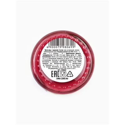 Мёд кремовый «Новый год 2026», с черникой, 30 г