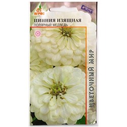 Цинния Полярный Медведь (Код: 78828)