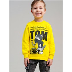 Толстовка трикотажная для мальчиков