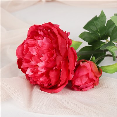 Цветок искусственный Пион 60 см / WSN-04 /уп 200/480/