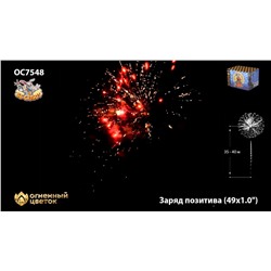 Фейерверк ОС7549 Заряд позитива (0,8" х 49)
