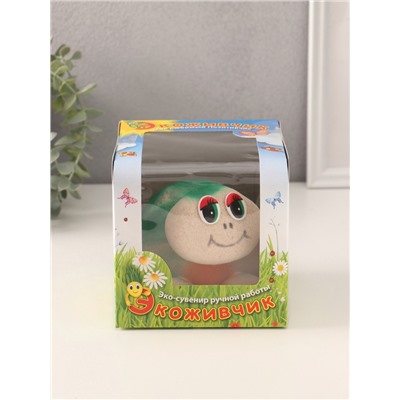 Набор для выращивания «ЭкоЖивчик. Черепаха новинка», фигурка растущая в подарочной упаковке