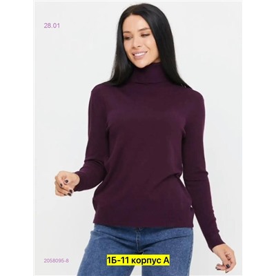 Водолазка 2058095-8