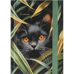 Записная книжка А6 88л в точку "НЕЖНАЯ ПРИРОДА" на резинке Б88-9939 Проф-Пресс