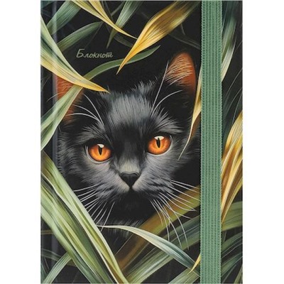 Записная книжка А6 88л в точку "НЕЖНАЯ ПРИРОДА" на резинке Б88-9939 Проф-Пресс