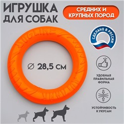 Кольцо «ДогЛайк» D-2612, 8-мигранное, среднее ⌀ 28.5 см