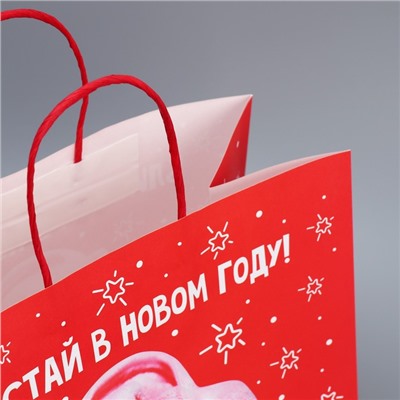Пакет подарочный новогодний крафтовый «Блистай», 28×32×15 см