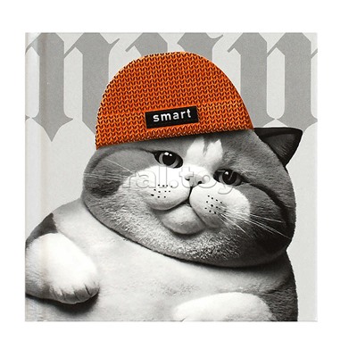 Блокнот 48 л, клетка "Кот в шапочке" 105х105 мм,