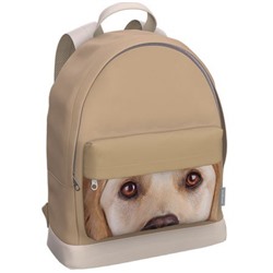 Рюкзак молодежный "StreetLine. Beige Dog" 17L 41х31х13 см 60905 с отделением для ноутбука ErichKrause