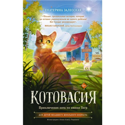 АСТ Екатерина Залесская "Котовасия. Приключения кота по имени Тигр"