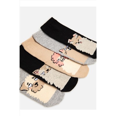 Носки, 5 п. ACOOLA, 1052268