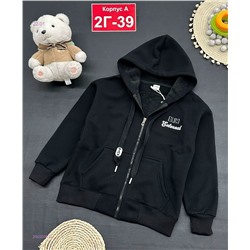 кофта с начесом 2055008-5