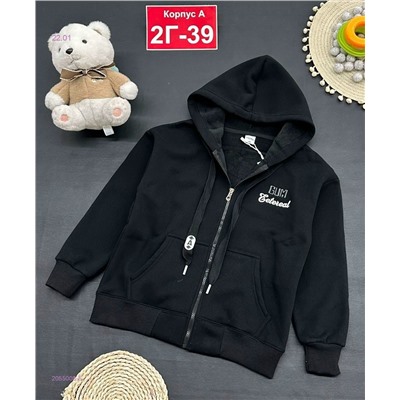 кофта с начесом 2055008-5