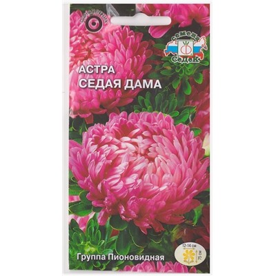 Астра Седая дама (Код: 74834)