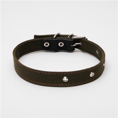 Ошейник брезентовый двухслойный, 62×3 см, ОШ 30-55 см, тёмно-зелёный