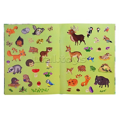 Книжка с наклейками формат А4. Приключения в зеленом лесу. 50 наклеек. Барсотти Э.