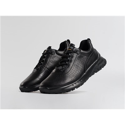 Кроссовки Ecco Biom Ult-trn