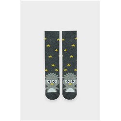 Носки MARK FORMELLE, 1192782