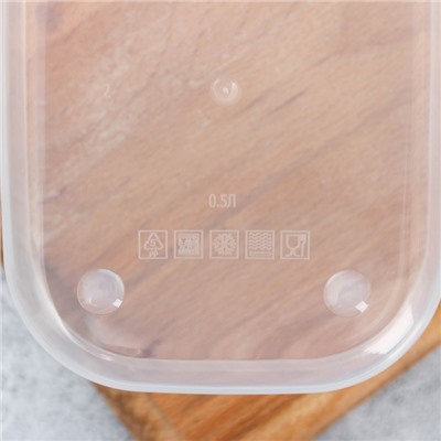 Ланч - бокс прямоугольный «Котики», 500 мл