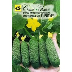 Огурец Ритм (С)