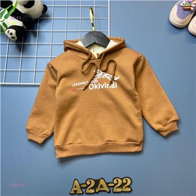 кофта с начесом 1848749-1