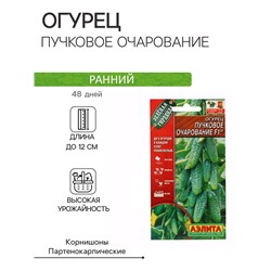 Семена Огурец "Пучковое очарование", F1, ц/п, 10 шт
