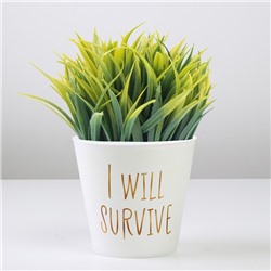 Кашпо для цветов «Я выживу», 800 мл, d=12 см, h=11 см, пластиковое