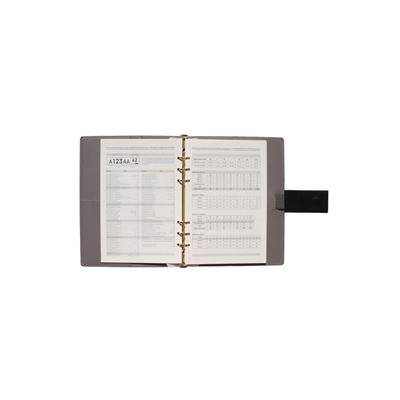 Органайзер на кольцах, А5, с хлястиком, 80 л, линия, к/зам, Черный