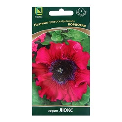 Семена цветов Петуния превосходнейшая Бордовая, 10шт