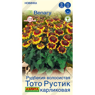 Рудбекия Тото Рустик карликовая (Код: 93605)