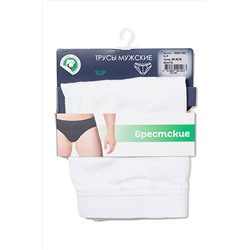 Трусы БРЕСТСКИЕ, 748038