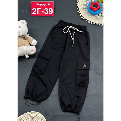 штаны 2056439-3