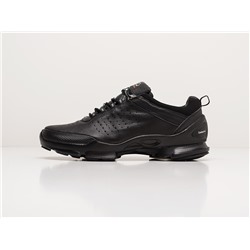 Зимние Кроссовки Ecco Biom