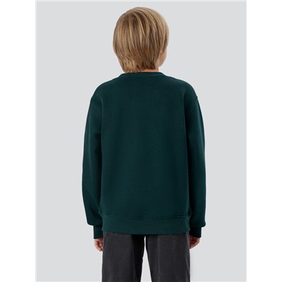 СВИТШОТ ДЛЯ МАЛЬЧИКОВ 123431/1