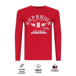 Футболка с длинным рукавом ФН176 Superior