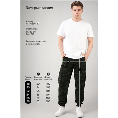 Мужские брюки из футера двухнитки Happyfox