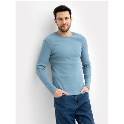 ЛОНГСЛИВ МУЖСКОЙ 121871/1