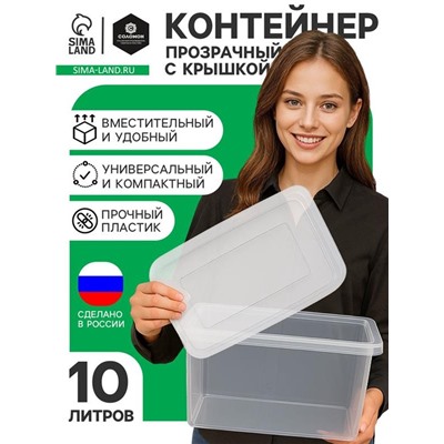 Ящик пластиковый для хранения, с крышкой, объём — 10 л, прозрачно-матовый